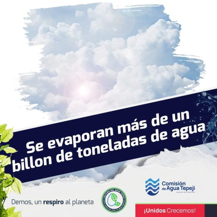 WhatsApp Image 2024-02-29 at 1.14.33 PM