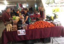 Concluye con éxito Feria de Microempresas y Cooperativas