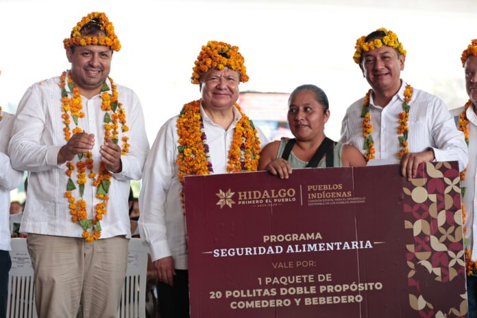 WhatsApp Image 2024-11-27 at 10.08.43 PM