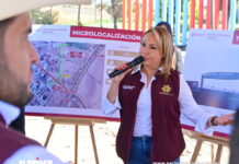 Ya viene el nuevo Zapotlán de Cynthia Arellano