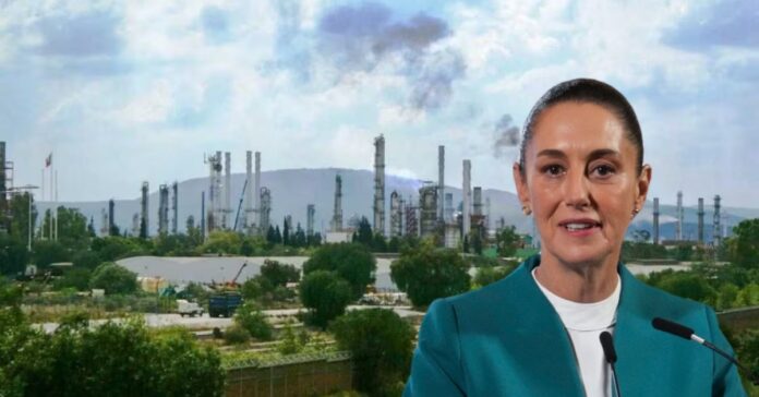 WhatsApp Image 2025-01-06 at 10.01.26 AM