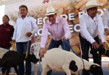Hidalgo impulsa el bienestar de familias campesinas con apoyos agropecuarios en Ixmiquilpan