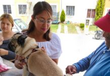 Rinden frutos en Hidalgo esfuerzos para proteger a la población y a sus animales de compañía