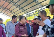 Hidalgo enfrenta su peor fenómeno climatológico: Julio Menchaca