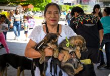 Tercera Feria de Adopciones en Ixmiquilpan