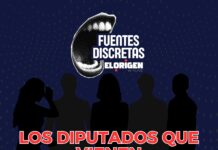 LOS DIPUTADOS QUE VIENEN
