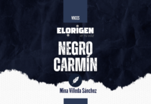 NEGRO CARMÍN. Cemex y el Parque de Economía Circular: una oportunidad que debe honrar a Tula y su gente