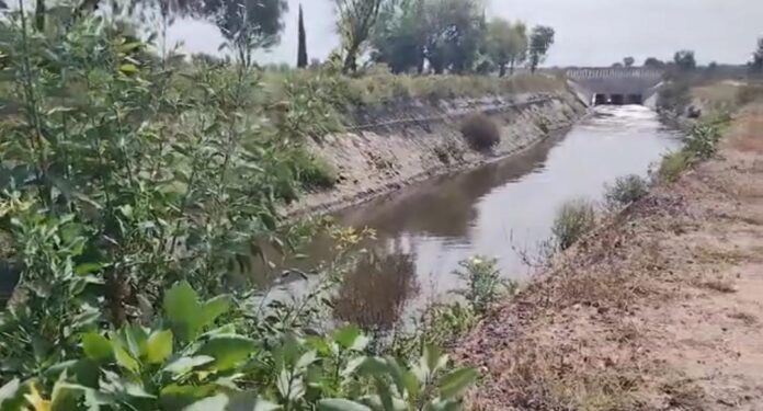 WhatsApp Image 2025-12-17 at 1.04.02 PM