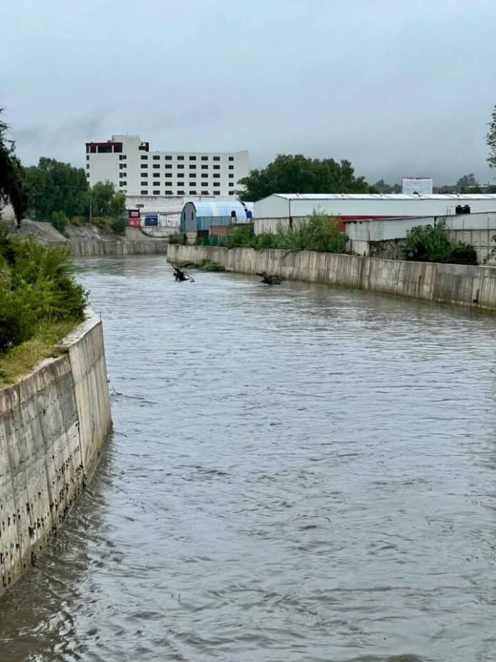 WhatsApp Image 2025-12-17 at 1.19.29 PM