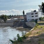 Saneamiento forestal en la ribera del río Tula, reto gigante