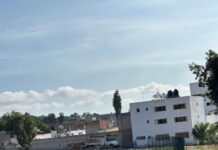 Saneamiento forestal en la ribera del río Tula, reto gigante