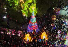 Aguinaldos y economía local: ¿en qué gastan los tulenses en diciembre?