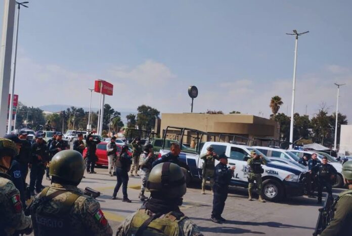 WhatsApp Image 2025-12-17 at 10.53.21 AM