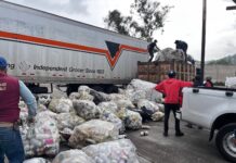 Estrategia para el Manejo de Envases de Plaguicida 10 cosas que debes saber