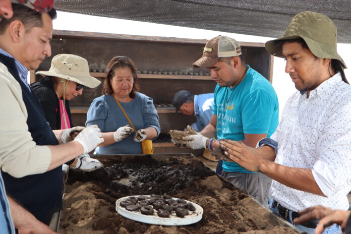 240126_ESFERA DE VIDA (2)