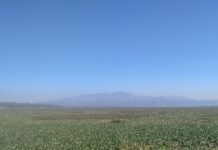 Evalúan hoy avances en el saneamiento de la Presa Endhó: supervisan retiro de lirio y combate al mosco Cúlex