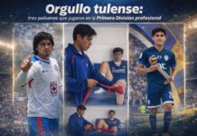Orgullo tulense: tres paisanos que jugaron en la Primera División profesional