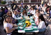 Creatividad que transforma: Mujeres de Tepeji florecen a través del emprendimiento