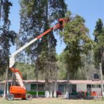 Podan árboles en primaria de Santiago Tlautla por riesgo a estudiantes