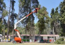 Podan árboles en primaria de Santiago Tlautla por riesgo a estudiantes