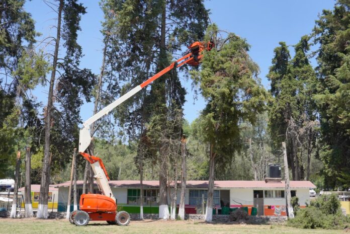 WhatsApp Image 2026-03-26 at 4.06.56 PM