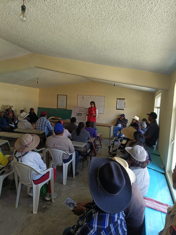 WhatsApp Image 2026-03-31 at 9.56.10 AM