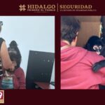 Rescatan a mono araña en Actopan