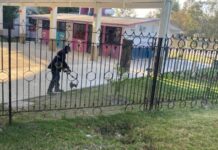 Mantenimiento en áreas verdes del CAIC y DIF Tepeji del Río