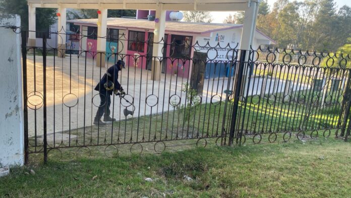 WhatsApp Image 2026-04-10 at 2.33.49 PM