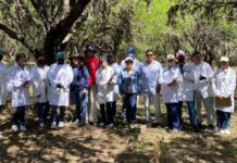 Impulsan acciones para combatir el heno motita en Tepetitlán