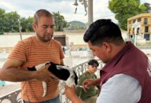 Gran respuesta de la ciudadanía en la jornada de vacunación!