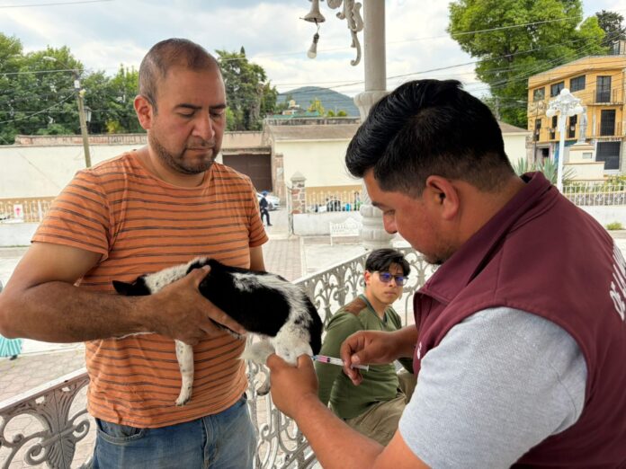 WhatsApp Image 2026-04-15 at 4.44.36 PM (1)