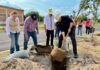 ¡Trabajando por un Tepeji más verde y con mejores espacios para todas y todos!