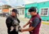 «Cuidar de ellos es cuidar de todos, jornada de vacunación de El Cerrito»