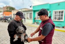 «Cuidar de ellos es cuidar de todos, jornada de vacunación de El Cerrito»
