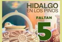 Tepeji conquista Los Pinos: Orgullo y cultura en la capital
