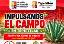 Tepetitlán fortalece sus raíces: Conoce el programa que impulsa el campo y el maguey local