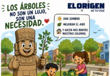 Un árbol no es solo de plantar , tambien necesita cuidados
