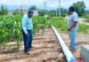 Programa Nacional de Tecnificación del Campo busca ahorrar hasta un 40% del agua de riego