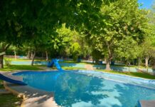 Estas son las enfermedades que podrías contraer al visitar un balneario; expertos recomiendan extremar precauciones