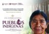 Raíces, memoria y diversidad: Hidalgo celebra a sus pueblos originarios