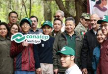 Más de mil voluntariados en la Jornada nacional de Reforestación 2026