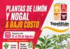 Tepetitlan impulsa el Desarrollo agropecuario