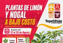 Tepetitlan impulsa el Desarrollo agropecuario