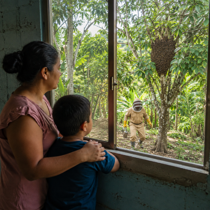 picadura de abejas