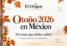 Otoño 2026 en México: 10 cosas que debes saber sobre su llegada, el clima y lo que viene