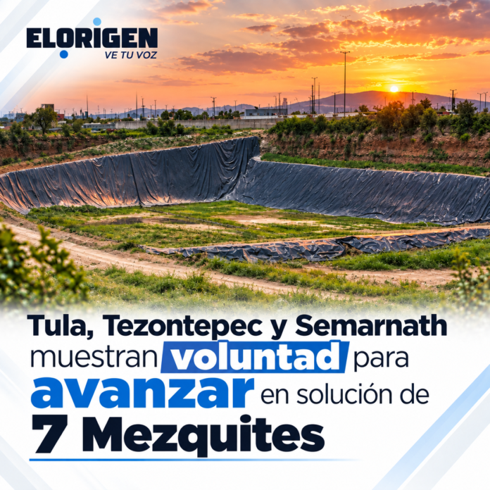7 mezquites