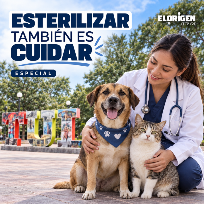 Esterilización