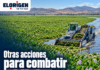 Otras acciones para combatir el lirio de la presa Endhó
