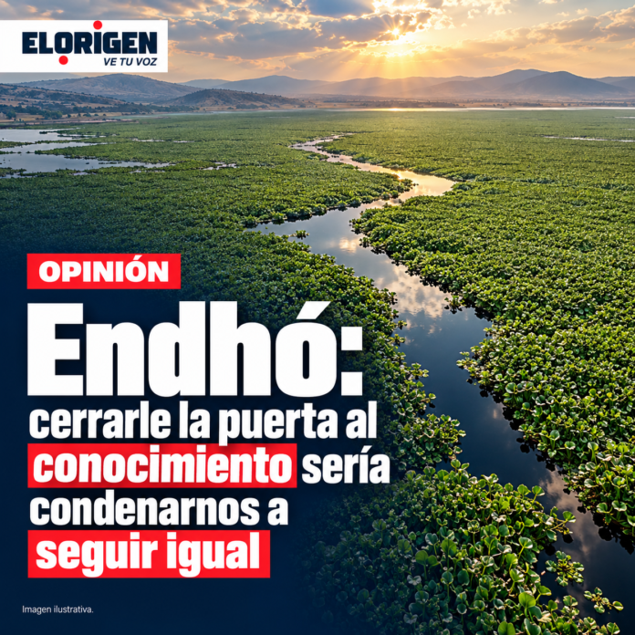 Endhó_ conocimiento ante el lirio invasor (1)